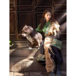 Tibetan Lhasa green robe