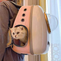 Cat bag portable bag for going out, space capsule breathable backpack, cat school bag, large capacity, cat take-out pet supplies