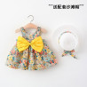 Girls' dress 1-3 baby baby princess skirt temperament hooded skirt girl doll skirt broken flowers
