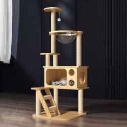 Cat House