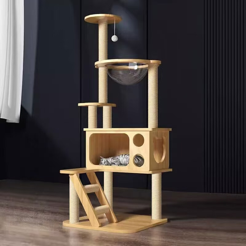 Cat House