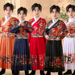 Hanfu children's Ming Dynasty clothing Chinese style flying fish suit boys 6 to 12 years old brocade guard