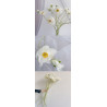 Artificial flower corn poppy table dried bouquet silk flower decoration flower arrangement ornaments