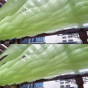 Yarn curtain wind-moving ceiling curtain restaurant homestay decoration hotel outdoor scenic spot curtain seaside