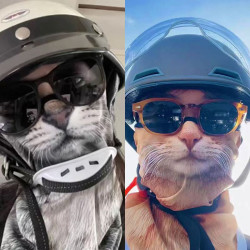 Ear-hanging sunscreen and UV protection cycling mask