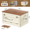 Outdoor storage box foldable camping car trunk storage box car outing fishing organizer